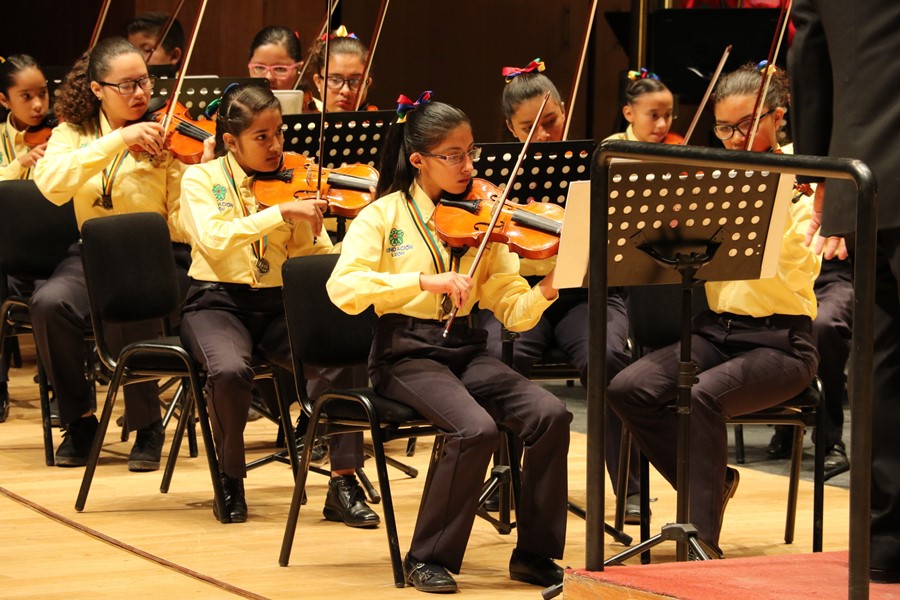 Galería de Imágenes - Fundación León