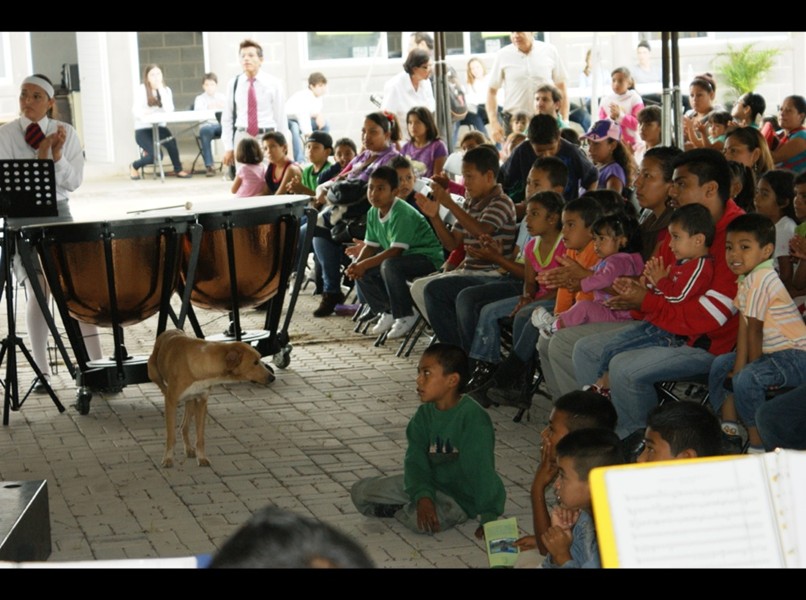 Galería de Imágenes - Fundación León